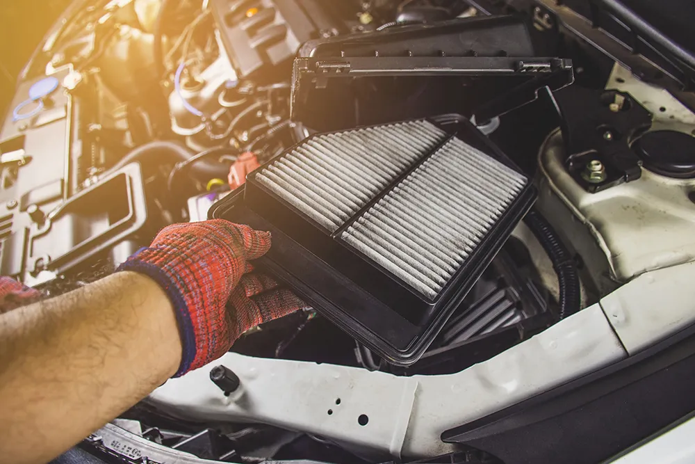 Why You Should Get Your Vehicle's Auto Filter and Fluid Service