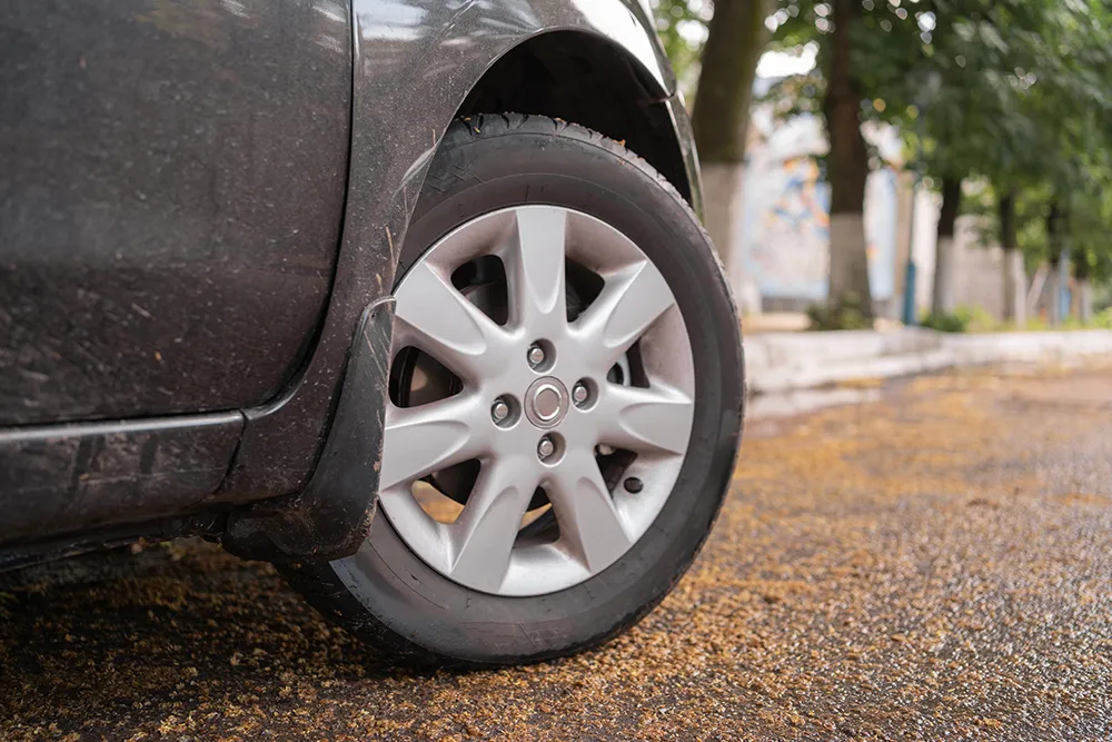 European Fall Tire Services for Your Vehicle